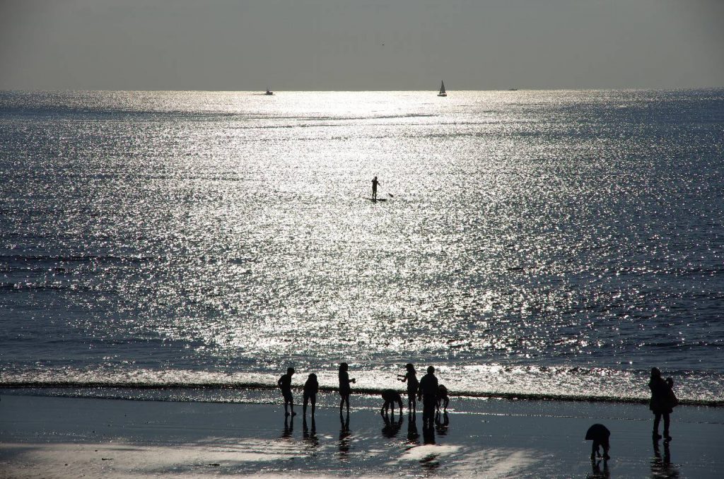 傾き始めた太陽にきらめく片瀬西浜沖の海面