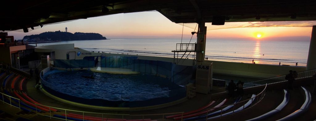 江ノ島を見渡すえのすいイルカショープール沖の海に沈む夕日