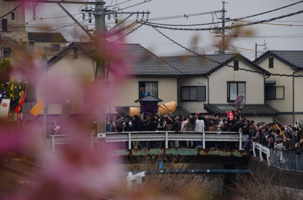 桜とチンコ神輿 (神輿フォーカス)