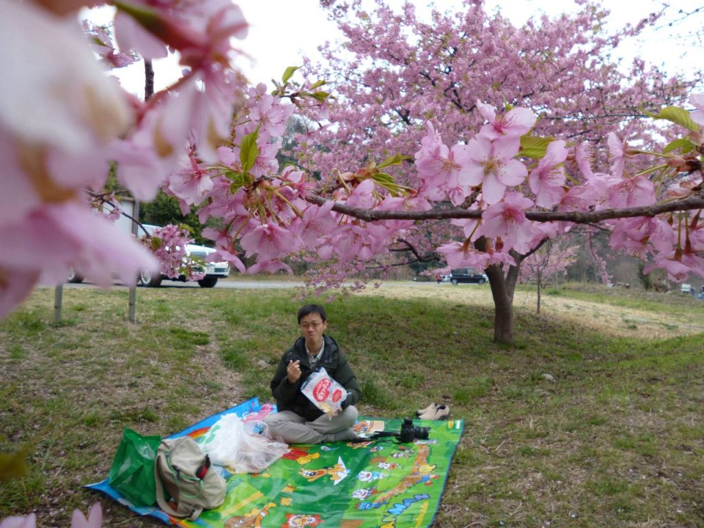 河津桜の下でポテトチップスを食べる奥村